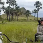 Estudo aponta que Cerrado pode armazenar mais carbono que a Amazônia