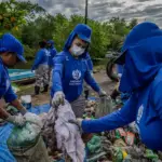 Manguezais recuperados com ação comunitária na Baía de Guanabara