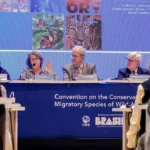 Bonito terá primeira vara ambiental com foco no Pantanal