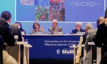 Bonito terá primeira vara ambiental com foco no Pantanal