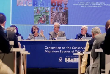 Bonito terá primeira vara ambiental com foco no Pantanal