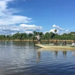 Peixes migratórios de água doce enfrentam ameaça global crescente