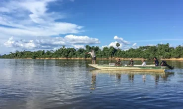 Peixes migratórios de água doce enfrentam ameaça global crescente