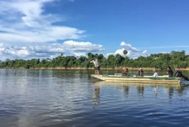 Peixes migratórios de água doce enfrentam ameaça global crescente