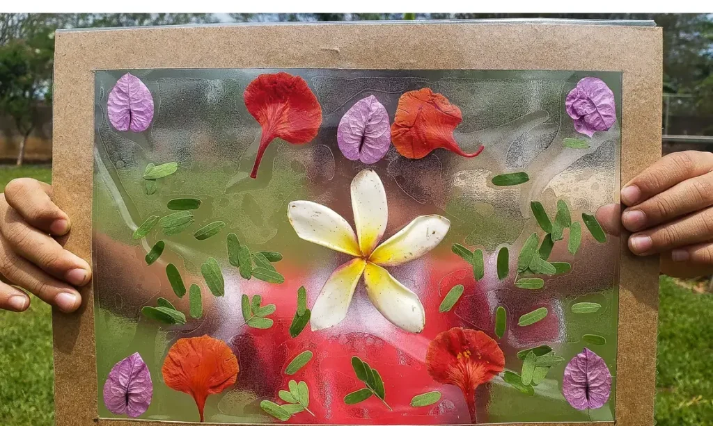 TEDxAmazonia 2026 será realizado pela primeira vez fora do Brasil