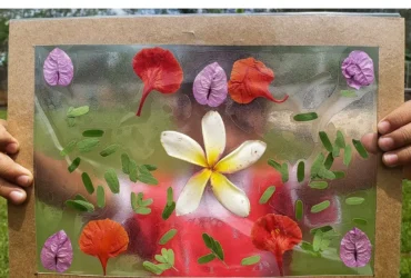 TEDxAmazonia 2026 será realizado pela primeira vez fora do Brasil