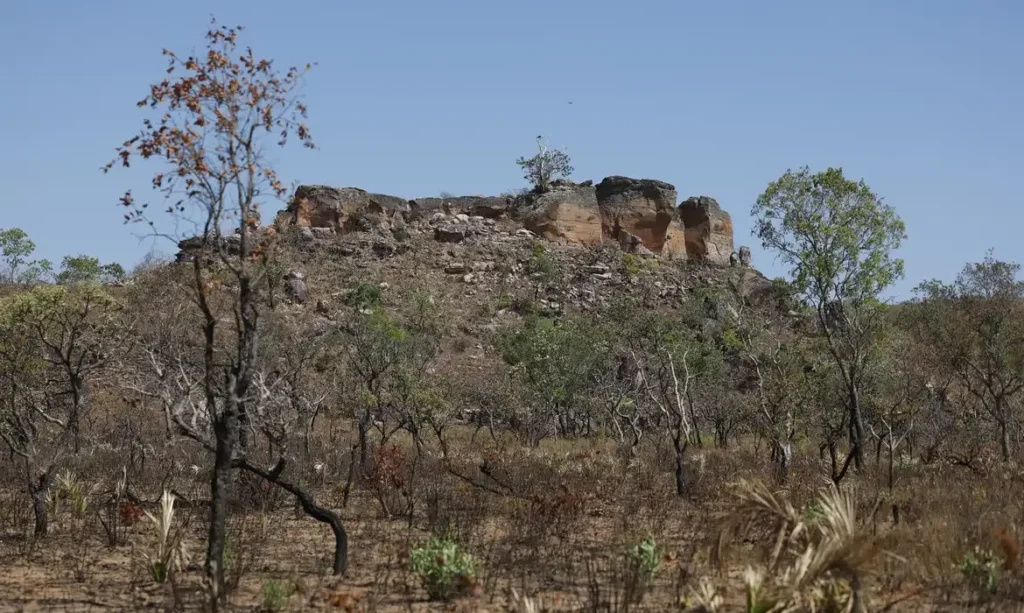 IA revela áreas agrícolas abandonadas no Cerrado e aponta potencial de restauração
