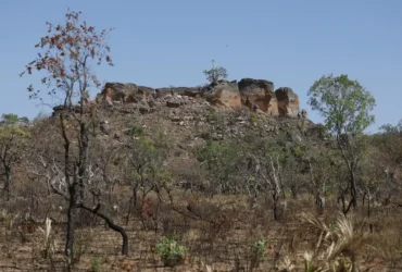 IA revela áreas agrícolas abandonadas no Cerrado e aponta potencial de restauração
