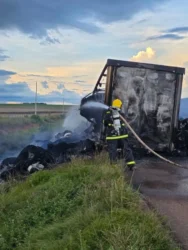 Bombeiros conseguem apagar fogo em pluma após 3 horas