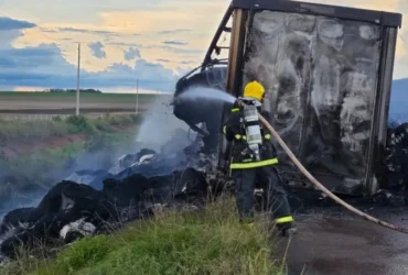 Bombeiros conseguem apagar fogo em pluma após 3 horas