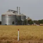 PIB coloca Brasil como sexto maior crescimento do G20 em 2025