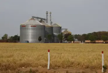 PIB coloca Brasil como sexto maior crescimento do G20 em 2025