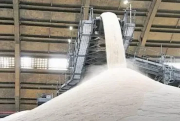 Açúcar cristal volta a superar R$ 100/saca em São Paulo, impulsionado por conflito no Oriente Médio e alta do petróleo