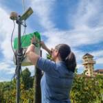 Agricultura testa equipamento de inteligência artificial para monitoramento de insetos em videiras