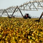 Agro deve faturar R$ 1,39 trilhão em 2026, com queda puxada por preços menores