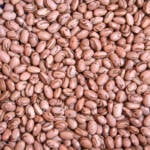 Após valorizações intensas em fevereiro, mercado do feijão inicia março em ritmo lento