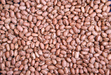 Após valorizações intensas em fevereiro, mercado inicia março em ritmo lento