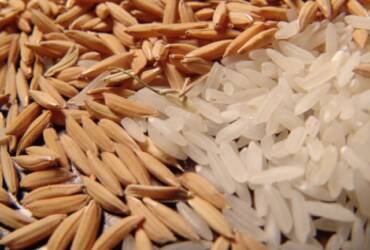 Arroz dispara com demanda aquecida e pressiona mercado no Sul do país