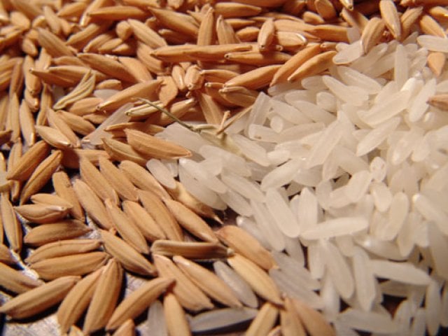Arroz dispara com demanda aquecida e pressiona mercado no Sul do país