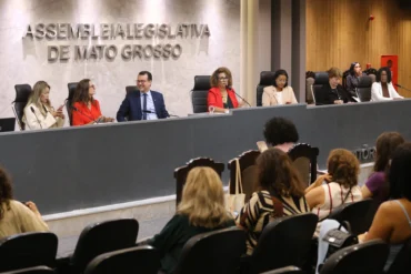 AL-MT discute feminicídio e proteção às mulheres