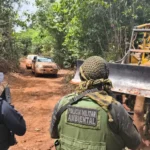Batalhão Ambiental aplica multa de R$ 1,5 mi por exploração irregular de madeira em MT