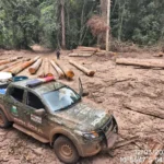 PM apreende 174 m³ de madeira ilegal em Marcelândia