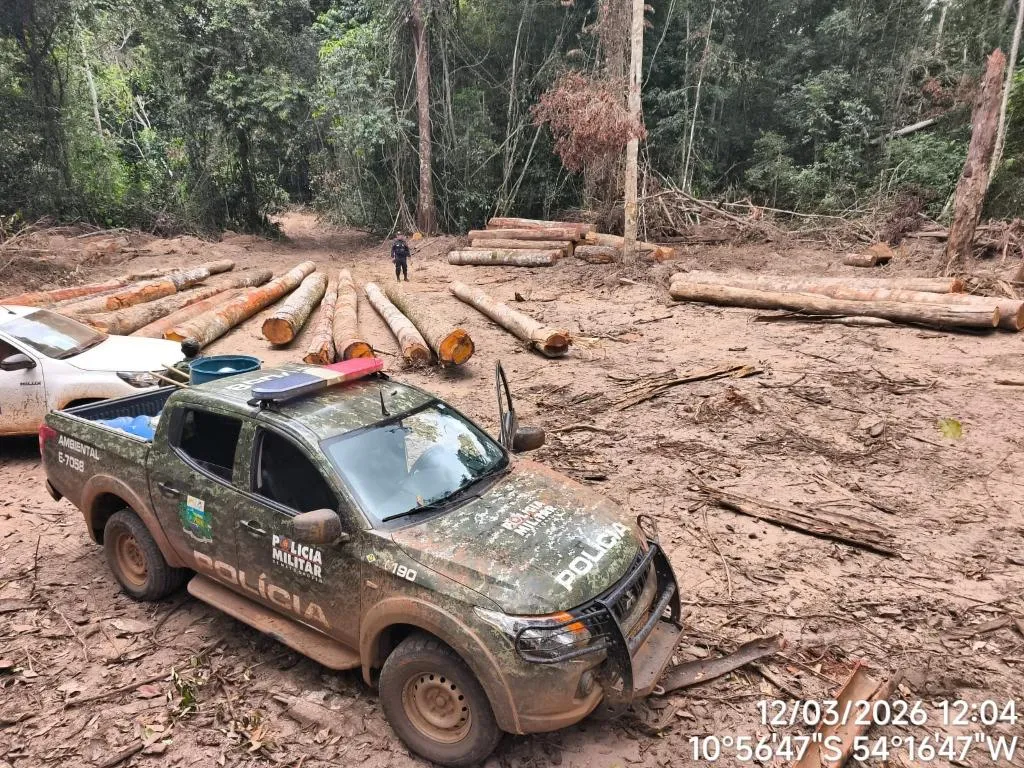 PM apreende 174 m³ de madeira ilegal em Marcelândia