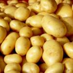 Batata ágata mantém estabilidade de preços nos atacados, mas Semana Santa deve elevar demanda