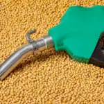 MT aumenta produção de biodiesel em 15% e deve liderar ranking nacional em 2026