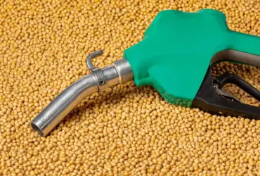 MT aumenta produção de biodiesel em 15% e deve liderar ranking nacional em 2026