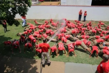 Bombeiros do Futuro -CenárioMT