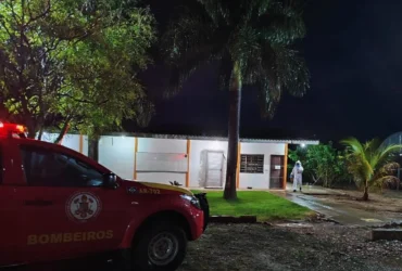 Bombeiros realizam retirada de enxame de abelhas em Confresa
