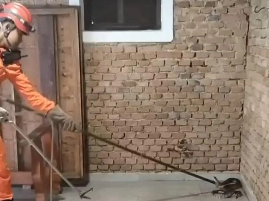 Cobra caninana de 2,5 m é capturada em Cáceres