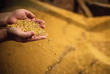 CNA critica moratória da soja no STF e pede retomada de ações suspensas