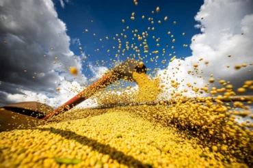CNA inicia escuta nacional para construir propostas do Plano Agrícola 2026/2027