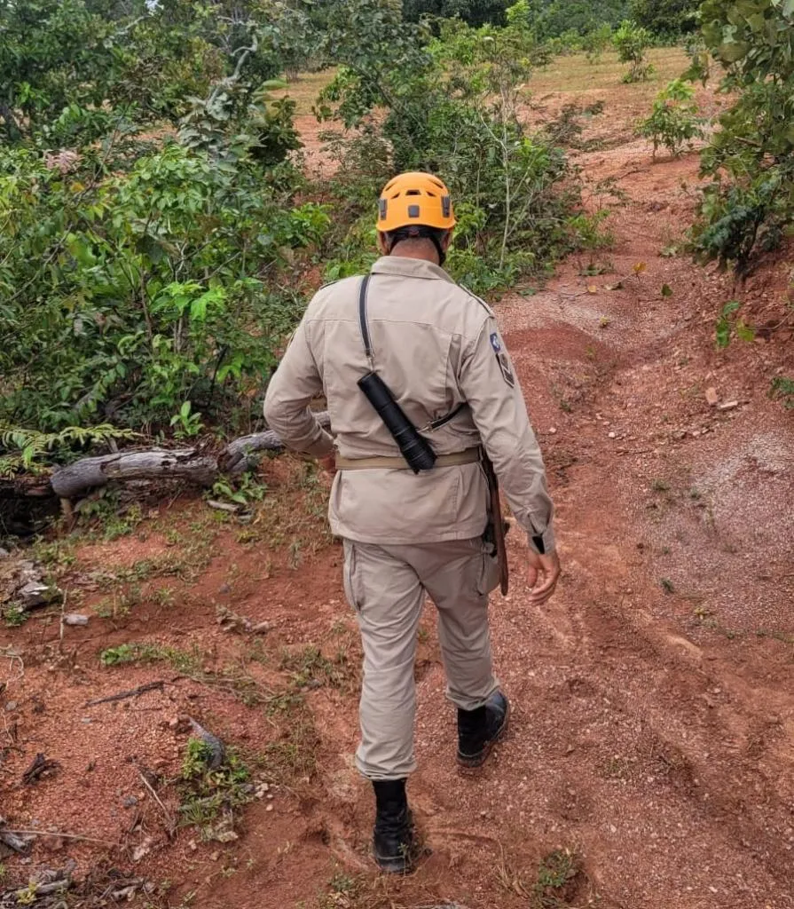 Foto de bombeiro em área de mata