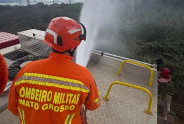 Incêndio vegetação mobiliza bombeiros e salva filhotes
