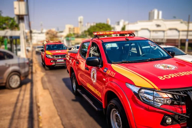 Pitbull soltos são contidos pelos Bombeiros em MT