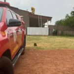 Abelhas mobilizam Bombeiros em residência de Confresa