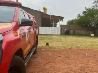 Abelhas mobilizam Bombeiros em residência de Confresa