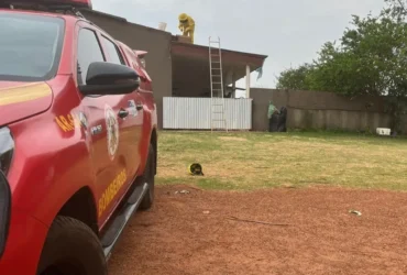 Abelhas mobilizam Bombeiros em residência de Confresa
