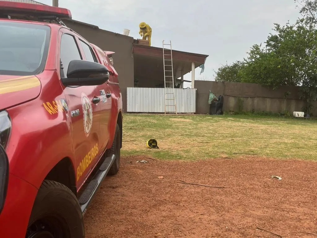 Abelhas mobilizam Bombeiros em residência de Confresa