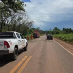 Corpo de Bombeiros remove árvores e libera BR-158