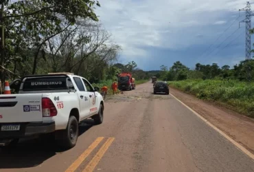 Corpo de Bombeiros remove árvores e libera BR-158