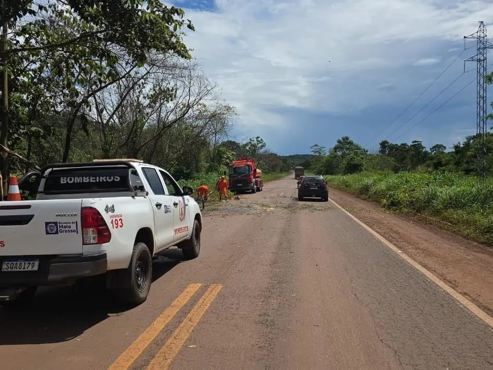 Corpo de Bombeiros remove árvores e libera BR-158