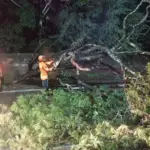 Queda de poste energizado mobiliza bombeiros em Primavera do Leste