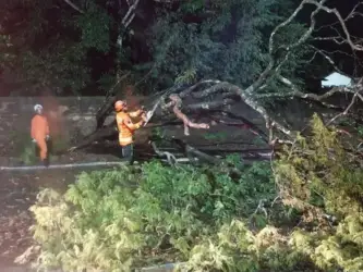 Queda de poste energizado mobiliza bombeiros em Primavera