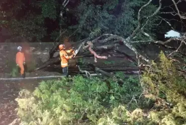 Queda de poste energizado mobiliza bombeiros em Primavera