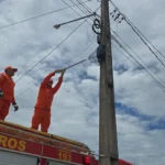 Resgate de animais mobiliza bombeiros em Confresa e Alto Araguaia
