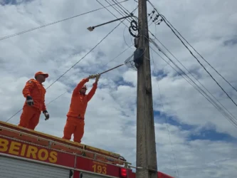 Resgate de animais mobiliza bombeiros em Confresa e Alto Araguaia